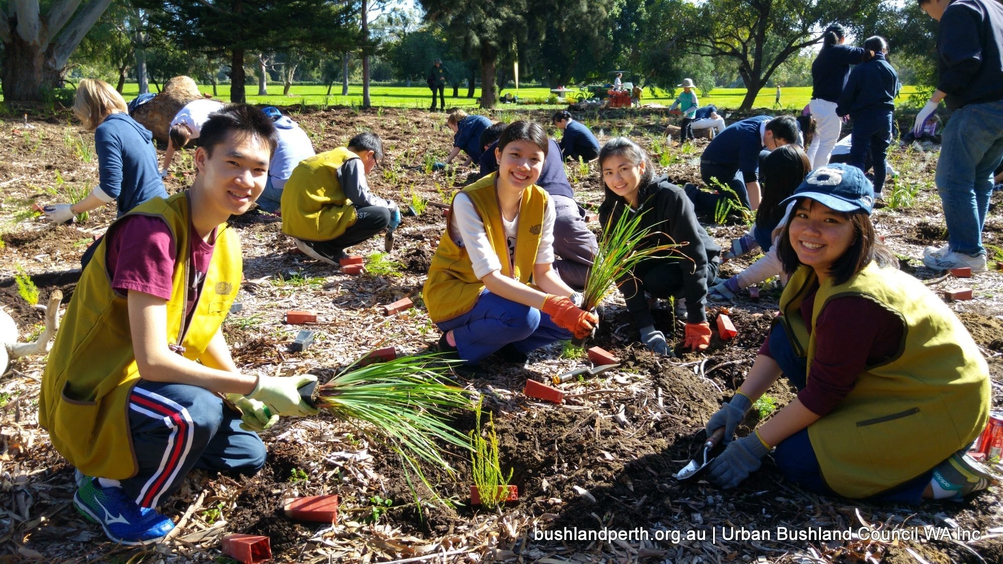 Urban Bushland Council Wa