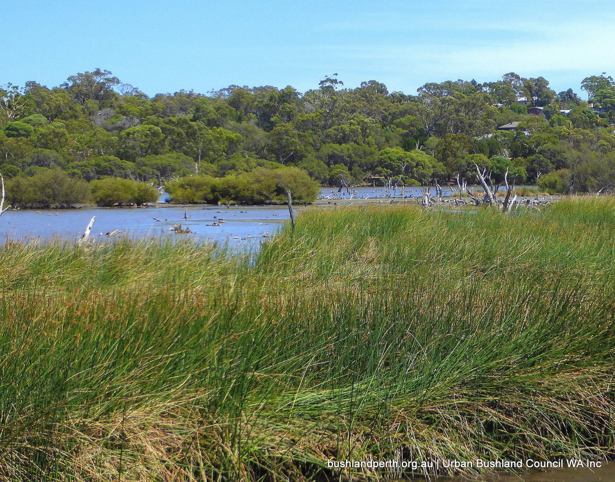 Home Urban Bushland Council Wa