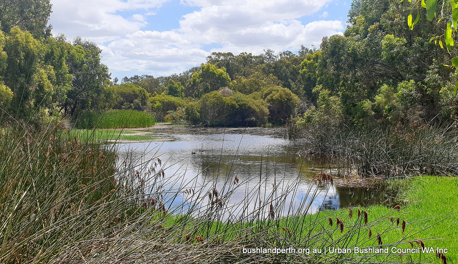 Craigie Bushland - Urban Bushland Council WA